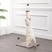 CTR1010A Decor/Pet Accessories/Other Pet Accessories