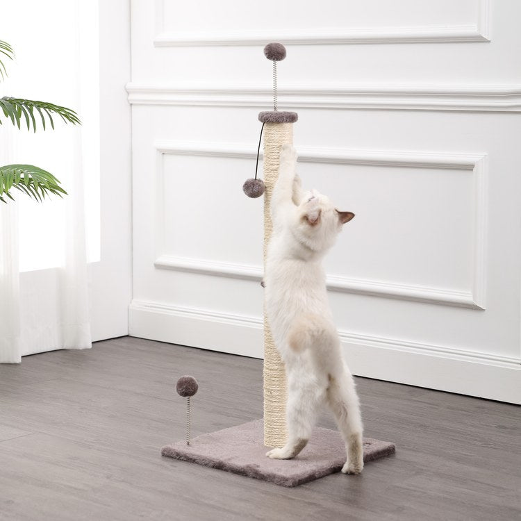 Product Image: CTR1010A Decor/Pet Accessories/Other Pet Accessories
