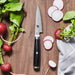 1019579 Kitchen/Cutlery/Open Stock Knives