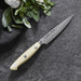 1022471 Kitchen/Cutlery/Open Stock Knives