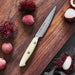 1022471 Kitchen/Cutlery/Open Stock Knives