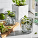 1022194 Dining & Entertaining/Drinkware/Glasses