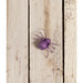 TF2242 Holiday/Halloween/Halloween Indoor Decor