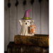 TF3241 Holiday/Halloween/Halloween Indoor Decor