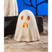 TJ2300 Holiday/Halloween/Halloween Indoor Decor