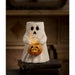 TJ2311 Holiday/Halloween/Halloween Indoor Decor