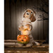 TJ2320 Holiday/Halloween/Halloween Indoor Decor