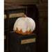 TJ2327 Holiday/Halloween/Halloween Indoor Decor
