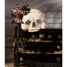 TL2356 Holiday/Halloween/Halloween Indoor Decor