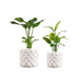 USA2000B-2SET Outdoor/Lawn & Garden/Planters