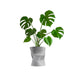 USA2001B Outdoor/Lawn & Garden/Planters