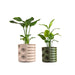 USA2003A-2SET Outdoor/Lawn & Garden/Planters