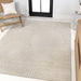 SCN100D-8 Decor/Furniture & Rugs/Area Rugs