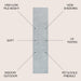SCN101F-28 Decor/Furniture & Rugs/Area Rugs