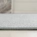 SCN101F-4 Decor/Furniture & Rugs/Area Rugs