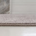 SCN104D-5 Decor/Furniture & Rugs/Area Rugs