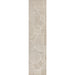 SCN104E-28 Decor/Furniture & Rugs/Area Rugs