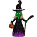 35681650 Holiday/Halloween/Halloween Outdoor Decor