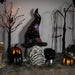 35697013 Holiday/Halloween/Halloween Indoor Decor