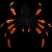 35764503 Holiday/Halloween/Halloween Indoor Decor