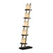11815 Lighting/Lamps/Floor Lamps