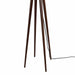 20859DW Lighting/Lamps/Floor Lamps