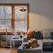 2110824WB Lighting/Lamps/Floor Lamps