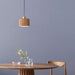 3110832LW Lighting/Ceiling Lights/Pendants