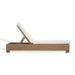 CPT1056A Outdoor/Patio Furniture/Outdoor Chaise Lounges
