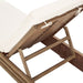 CPT1057A Outdoor/Patio Furniture/Outdoor Chaise Lounges