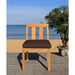 CPT1006C-SET2C-SET2 Outdoor/Patio Furniture/Outdoor Chairs
