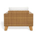 CPT2101A Outdoor/Patio Furniture/Outdoor Chairs