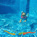 32233890 Outdoor/Pool Supplies/Pool Floats Toys and Games