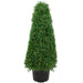 35133791 Decor/Faux Florals/Plants & Trees