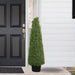 35133794 Decor/Faux Florals/Plants & Trees