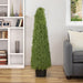 35133794 Decor/Faux Florals/Plants & Trees