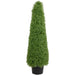 35133794 Decor/Faux Florals/Plants & Trees