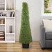35133795 Decor/Faux Florals/Plants & Trees