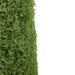 35133795 Decor/Faux Florals/Plants & Trees