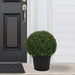 35133798 Decor/Faux Florals/Plants & Trees