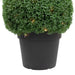 35133798 Decor/Faux Florals/Plants & Trees