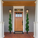 35133806 Decor/Faux Florals/Plants & Trees