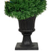 35133806 Decor/Faux Florals/Plants & Trees