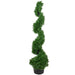 35133808 Decor/Faux Florals/Plants & Trees