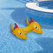 32149198 Outdoor/Pool Supplies/Pool Floats Toys and Games