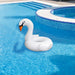 32558242 Outdoor/Pool Supplies/Pool Floats Toys and Games