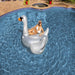 32583560 Outdoor/Pool Supplies/Pool Floats Toys and Games