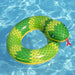 34252017 Outdoor/Pool Supplies/Pool Floats Toys and Games