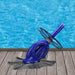 35133839 Outdoor/Pool Supplies/Pool Cleaning and Chemicals
