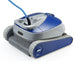 35133843 Outdoor/Pool Supplies/Pool Cleaning and Chemicals